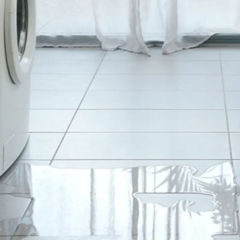 Appliance Leak Cleanup in Lafayette, TN