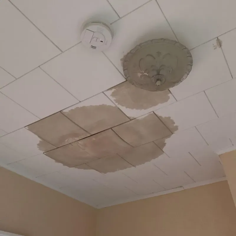 Ceiling Water Damage Repair in Lafayette, TN