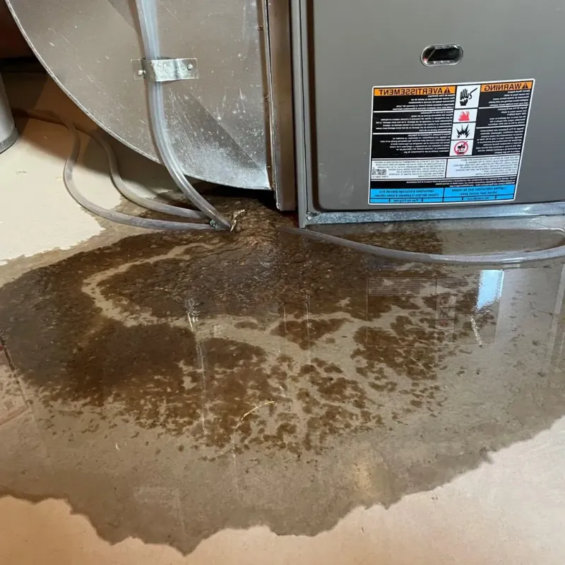 Pipe Burst and Leak Restoration in Lafayette, TN