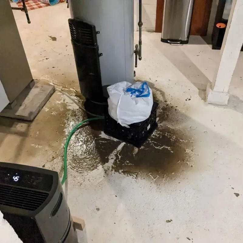 Sewage Backup Cleanup Service in Lafayette, TN